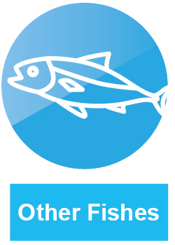 otherfish